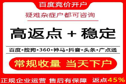 SEM代理案例：优化策略助力企业增长